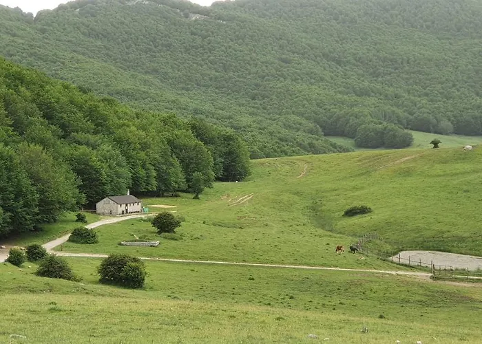 Casa Ciuffina Bed and Breakfast